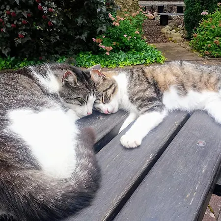 בית חווה Kaczeniec *