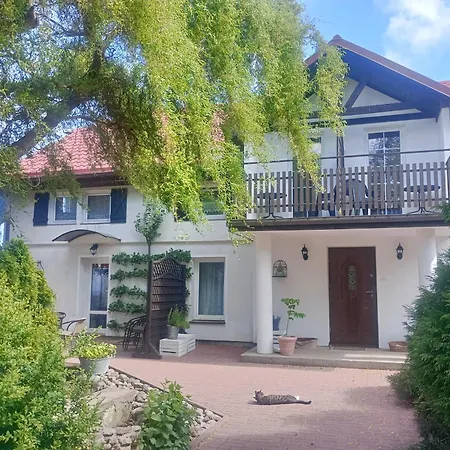 Kaczeniec * أوسترونيه مورسكية