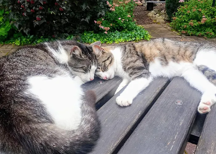 Agroturismo Kaczeniec *