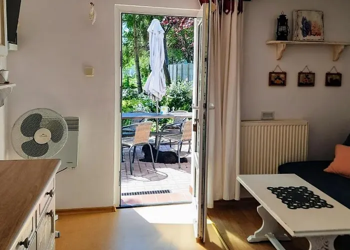 Kaczeniec Ustronie Morskie